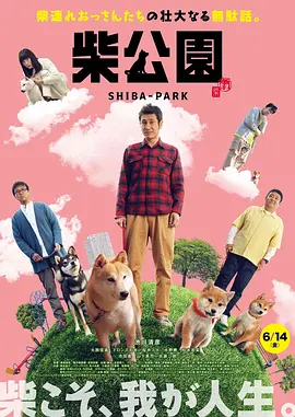 96免费精品视频在线观看