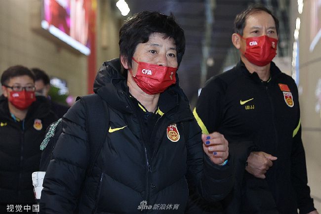 精品国产高清久久久久久小说