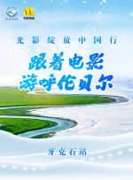 gay电影网站