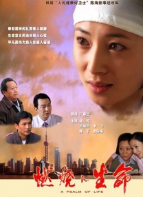 城市未亡人