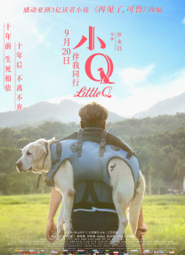 91久久精品国产免费一区